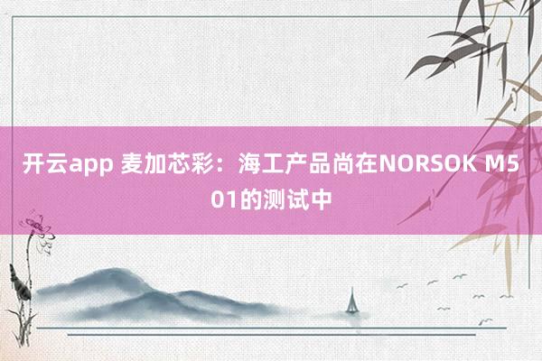 开云app 麦加芯彩：海工产品尚在NORSOK M501的测试中